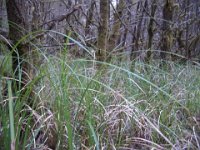 2006-07 camping trip023