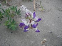 2006-07 camping trip045