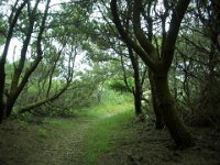 2006-07 camping trip050