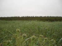2006-07 camping trip052