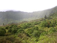 pano  The trail hugged the Ko'olau mountains and wound in and out of valleys. Beautiful vistas when you pop back out of the valley into a clearing like this.