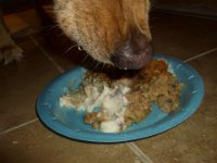 Thanksgiving-118