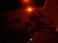 Thanksgiving-132