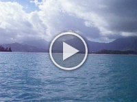 IMGP0891  Cool video - you'll feel like you're snorkeling as I hold the camera under water. Watch closely as we pass over the reefs - you'll see fish dart around!