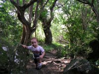 IMGP0354  On the Kuli'ou'ou hike - Sam did a great job climbing over rocks and hiking up about 1/2 mile of this trail in his new Merrell (!) hikers! He enjoyed chasing me back down about 1/2 mile of the trail from the summit through an ironwood forest.