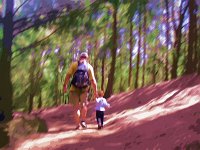 Dave and Sam  Daddy and boy hiking through the ironwoods.