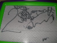 IMGP1249  Sammy drew the squiggle on the right and said "moun-ain"!!!! MOUNTAIN! Good boy!