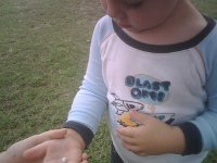 IMG00059