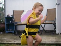 IMGP1744  The little bee is buzzing around!