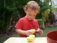 IMGP1758  Squeezing lemons out with Gramma to make a sorbet for dessert. Sammy liked drinking water out of his "lemon cups."