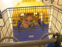 2007-04-22CommissaryRomp  Fun at the commissary with Gramma pushing :)