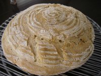 IMGP2412  Some sourdough bread baked from natural yeast starter. Turned out pretty well!