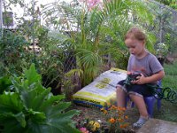 IMGP2797  Then we went to the nursery and he picked out plants. He loves caring for his plants.