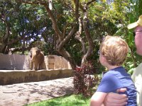 IMGP2917  We finally went to the zoo! Sammy is excited to see a heffayump!