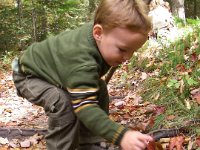imgp5109  Pointing out a "Y" root. He's been finding lots of letters on the trail lately.