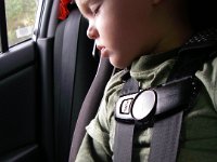 imgp5141  Some little buddy was tired. He slept on the way home, but not as long as I thought. See the patch still in his hand? He was very proud.