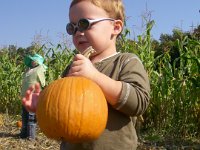 imgp5178  I picked my OWN pumpkin!
