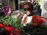 PB190001  Buying plants for the planters to replace the ones that didn't survive my six-week absence.