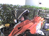 ATT00112  Then out for a walk down the marsh trail to Kalapawai for breakfast. Testing out the double jogger!
