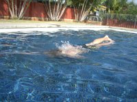 IMGP9106  Diving with Daddy!