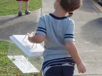2009-02-13FredAndMonarchGoToSchool (2)