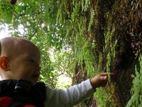 P3150017  Ben grabbing moss to play with.