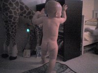 ATT00678  We call the bare buns "biscuits" and have "biscuit races" to the bathtub each evening. We discoved "breakfast biscuits" this particular morning! So cute! Look at how strong he is! His whole core is just ripped with muscles. You should feel him climb around on you. Unbelieveable.