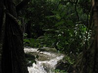 IMG 0919