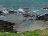 Tide Pools  Made some new headers for the blog...