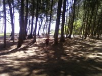 ATT00192  And more running, through the ironwoods!