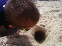 ATT00266  And dug tunnels!