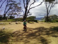 ATT00876  Mountain biking for Ben's birthday picnic. I'm still sick with pneumonia here, feeling totally awful with fever rising like clockwork at noon, but wanting to give the boys a good time.