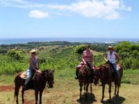 P6150020  Looking out over Lai'e. We cantered up a hill to this point. The horses enjoyed charging up.