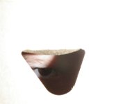 P6110005