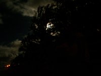 P7040014
