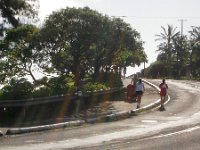 P7120006  Ran an 8k race with the two boys over in Lanikai. What hard work - headwind, heavy stroller, suspension not in the right position, and rather numb feet (going to the doctor about that on Monday). Dave tried to take a picture of us finishing - it was so hard to catch us, we're THAT FAST   ha ha...finished 9/12 in my age group, in the middle of the pack overall. We were the only double stroller. I guess that's not bad but two years ago I got second pushing just Sam. Oh well...