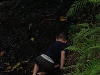 sept11  Sam enjoyed romping all around.