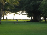2010-01-01Kauai(26)GroveCafeWaimeaBrewCompany  Taking Ben for a walk to check out the sunset.