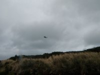 P1010008
