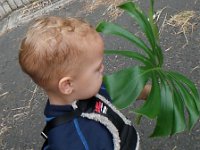 P1010025  Learning shapes with the help of a nice leaf.