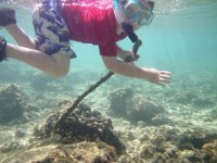 IMGP0134  Look at this crazy snorkeler! Using a "hiking" stick for our underwater hike :)