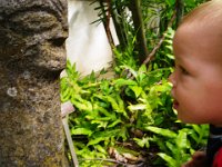 IMGP0177  More statues - this one was from Kailua. Looks like the funny face Sam makes Ben do - squeezed cheeks together is called "Covinney face". Who knows where that came from.