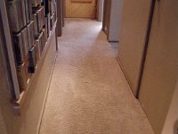 IMGP0346  Look how much cleaner our carpet is!