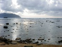 IMGP0533  Dave took this panorama of the beach. It is so interesting to see how our beaches look at various tide levels. Changes the character completely.