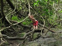 IMG 0068  More climbing - poor guy had energy to spare for exploring these roots but the grown-ups were ready to call it a day and go get some food!