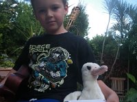 2010-03 MAR