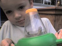Sam lizard  Lizard came to the fire, too. Sam carried this guy all around the yard, told him not to touch the chiminea, and lulled the lizard to sleep in his hands. Imagine the stories this guy is telling his lizard friends!