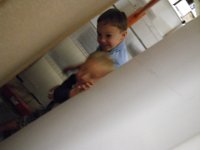 IMGP1271  Naughty boys! Come out of there!