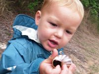 IMGP1908  And the boys found lots of tree snail shells, which we later turned into a neat craft. I think they found a dozen of them!