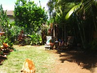 IMGP1629  A panorama of the backyard.